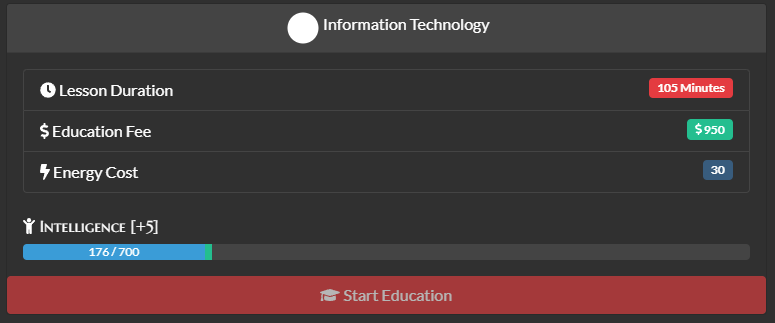 IT Course.png